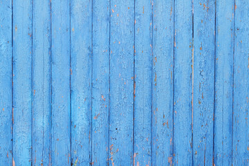 Blue painted wood planks as background or texture