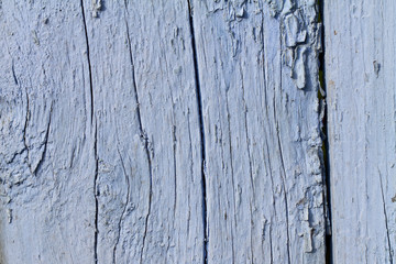Blue painted wood planks as background or texture. Close-up