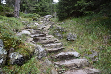 Wanderpfad in den italienischen Alpen