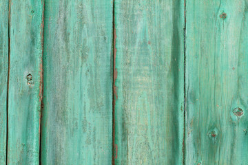 Green painted wood planks as background or texture.
