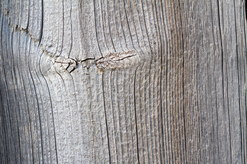 Old wood planks as background or texture. Close-up