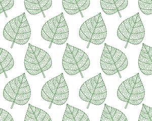 Plant leaf contour pattern