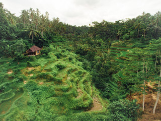 Fototapeta na wymiar Terraced fields in a village
