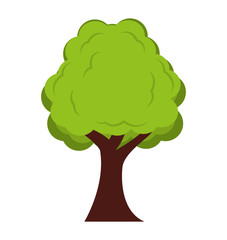 tree plant forest isolated icon vector illustration design