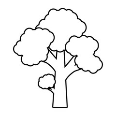 tree plant forest monochrome isolated icon vector illustration design