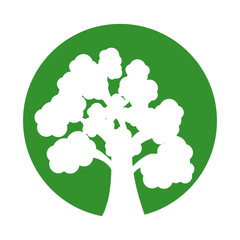 tree plant forest isolated icon vector illustration design