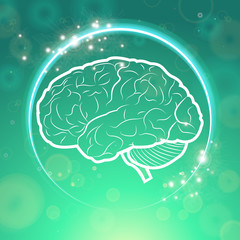 Human Brain Neurology Anatomical Conception Vector Illustration