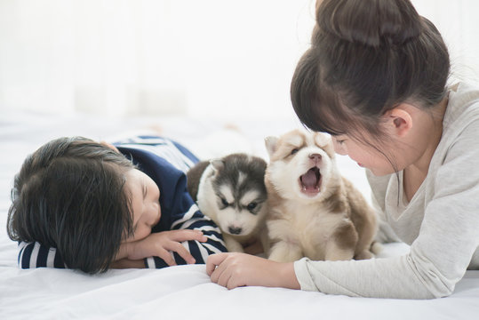 Asian children playing with puppies