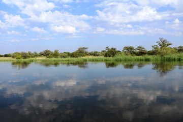 Fototapeta na wymiar Okavango river in the morning, Caprivi Strip Namibia Africa