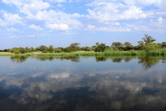 Okavango river in the morning, Caprivi Strip Namibia Africa