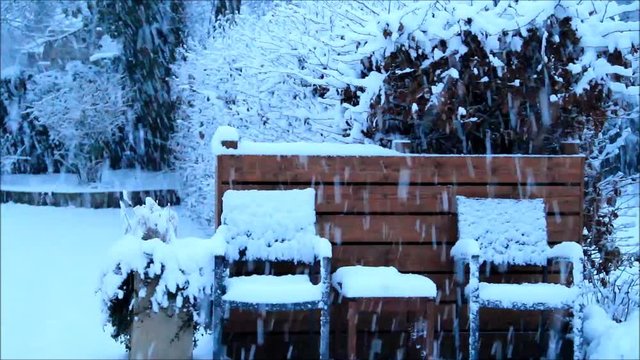 snowflakes falling down, winter landscape garden,  texture

