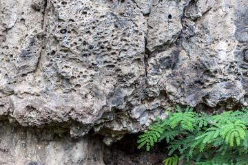 Basalte à l'île de la Réunion
