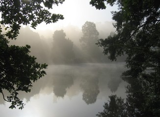 The River Thames on a misty autumn morning, framed by trees