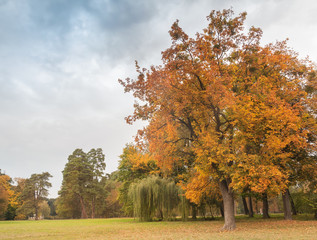 Naklejka premium Autumn in the Alexandria Park.