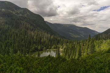Fototapeta na wymiar View from a trail Western Tatra Mountains Slovakia
