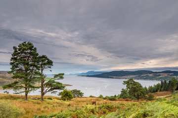 Obraz na płótnie Canvas Western Kyle of Bute, in the Kyles of Bute, also known as Argyll's Secret Coast, in the Firth of Clyde seen here from north of villages Kames and Tighnabruaich, to the right