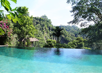 pool in the jungle - 122953367