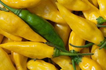 peperoncini piccanti