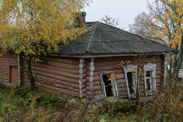 Старый полуразрушенный бревенчатый дом осенью под...