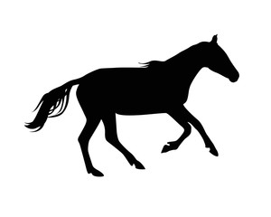 Silhouette of horse. Black on white