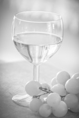 Italian white whine with grapefruit