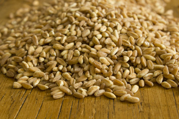 farro biologico