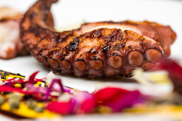Beautifully decorated boiled and fried octopus plate