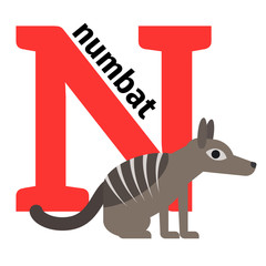 English animals zoo alphabet with letter N. Numbat vector illustration