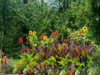 Blumen am Stra&szlig;enrand