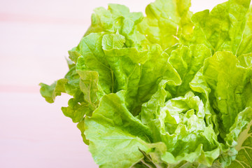 light green vegetable