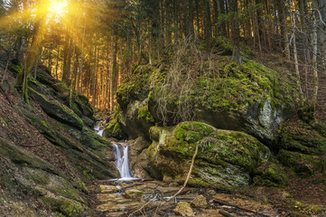 Waterfall in a mysterious forest with big stones covered with green moss. Rays of sunlight breaking through the pine trees
