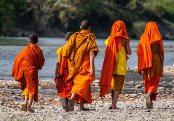 Charming Laotian monks
