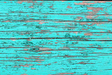 Fototapeta na wymiar Texture of old wooden planks with cracked turquoise paint closeup