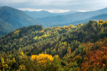 Obrazy  Idzie jesień... / Niesamowity widok na dzień z skąpaną w słońcu łąką w górach Rodopy, Bułgaria