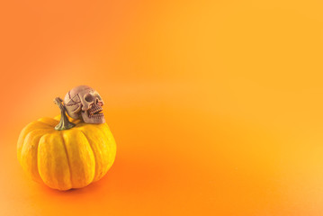 yellow pumpkin and skull bone