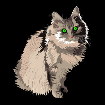 "Realistic Cat" Images – Browse 85 Stock Photos, Vectors, and Video