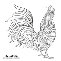  Rooster.