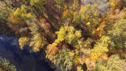 Naklejka na ściany i meble flight over the autumn forest