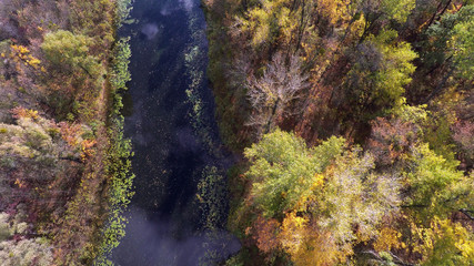 flight over the autumn forest
