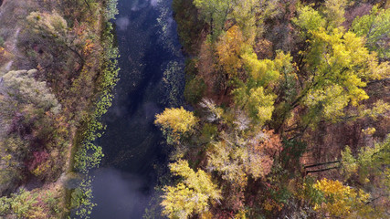 Naklejka na ściany i meble flight over the autumn forest