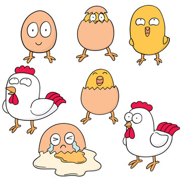 vector set of chicken and egg