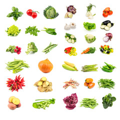 vegetables on white