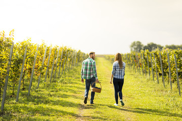 Young couple in vineyard