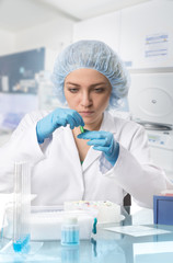 Young female tech or scientist examines sample in test tube