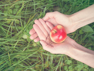 Healthy vegetarian food. Female hand holding a red ripe apple. Concept on a theme of harvest and delicious food.