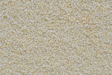 White sesame seed background