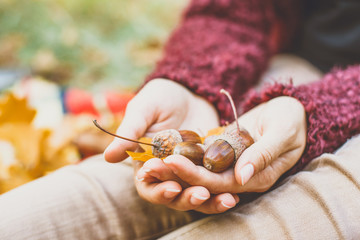 acorn in hand © phpetrunina14