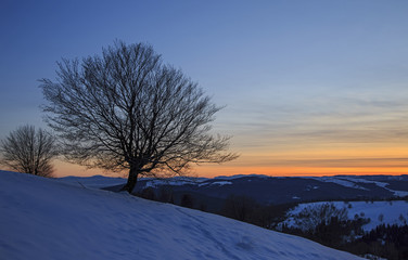 Sunset over the snowy hill