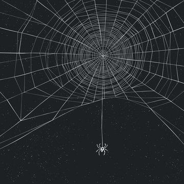 Halloween background with spider and web