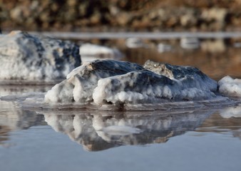 Stones with crystallized salt in coastal lagoon